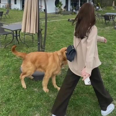 科索沃战役